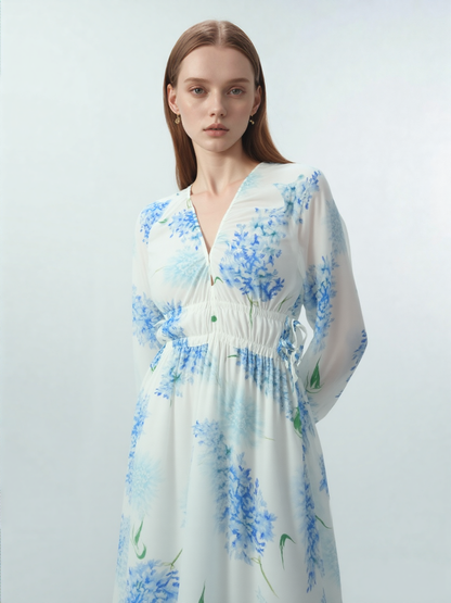 Clarissa Rae Chiffon Maxi Dress with Sheer Sleeves & Drawstring Waist