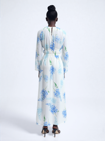 Clarissa Rae Chiffon Maxi Dress with Sheer Sleeves & Drawstring Waist
